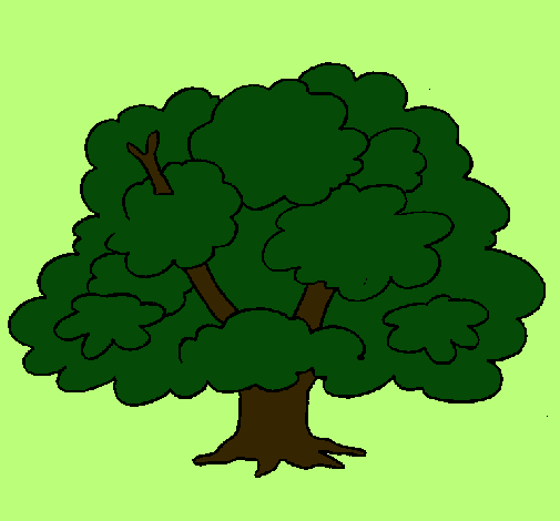 Árbol