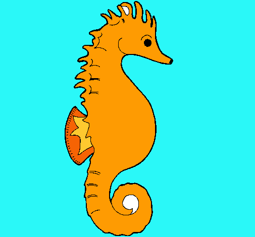 Caballito de mar