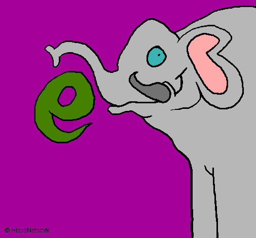 Elefante