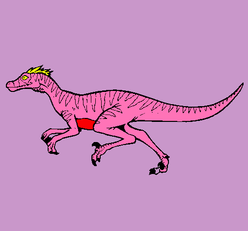 Velociraptor