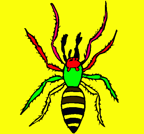 Araña tigre