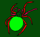 Dibujo Araña venenosa pintado por addañña