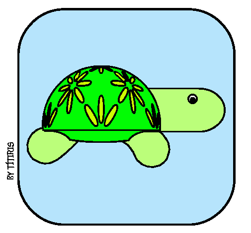 Tortuga 4