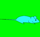 Dibujo Rata pintado por majopedro