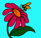 Dibujo Margarita con abeja pintado por shikaiens