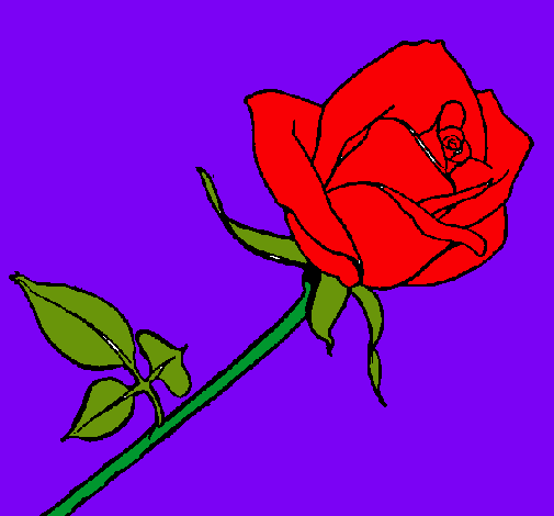 Dibujo Rosa pintado por yubith