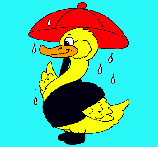 Pato bajo la lluvia