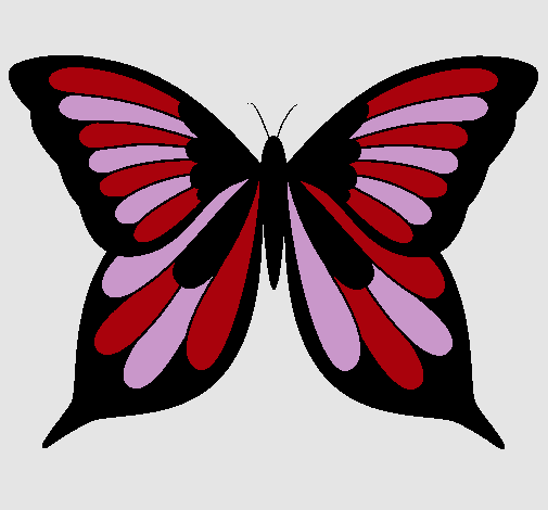 Mariposa