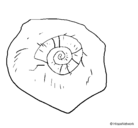 Dibujo Fósil caracol pintado por lianarm