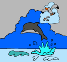 Dibujo Delfín y gaviota pintado por espinoza