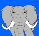 Dibujo Elefante africano pintado por BLAKE