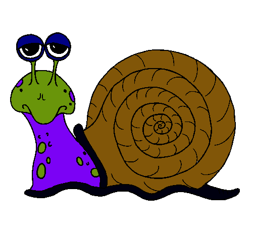 Caracol