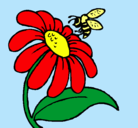 Dibujo Margarita con abeja pintado por sebaslarrart