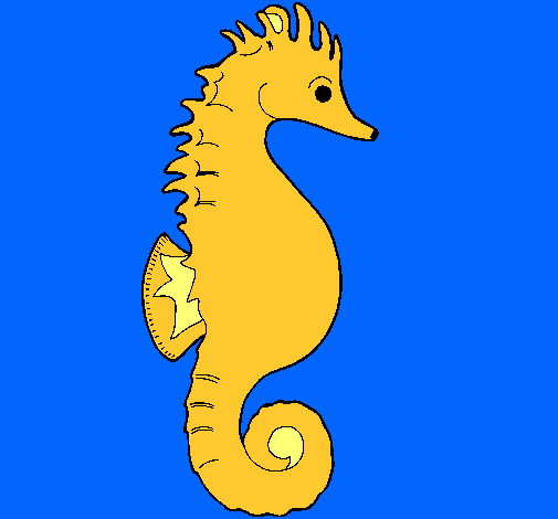 Caballito de mar