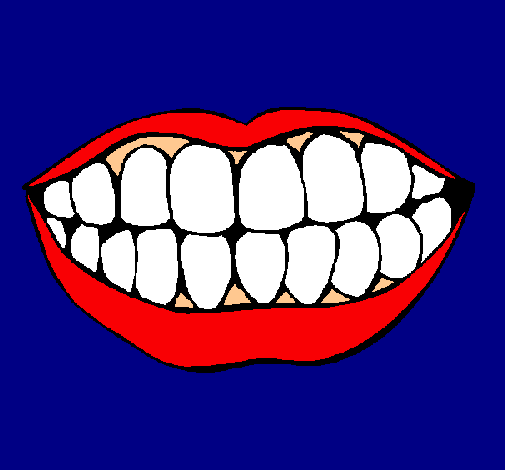 Boca y dientes