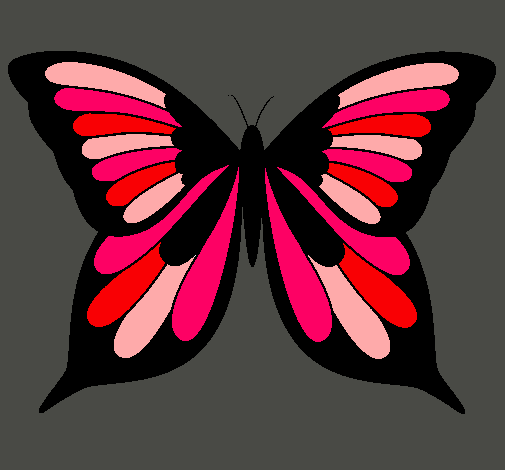 Mariposa