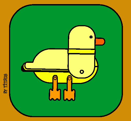 Pato III