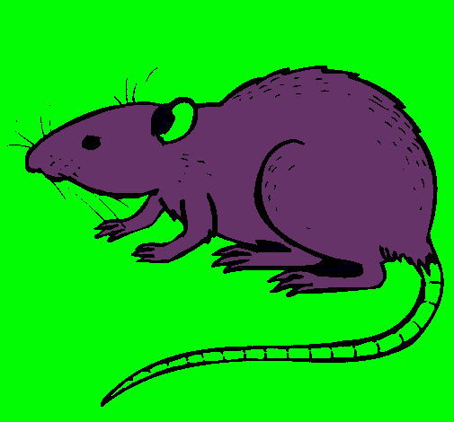 Dibujo Rata subterráena pintado por david-avil