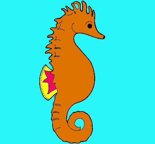 Caballito de mar