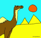 Dibujo Camello pintado por hebi