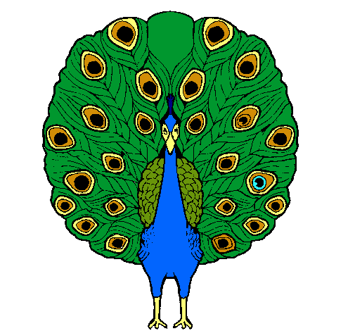 Pavo real