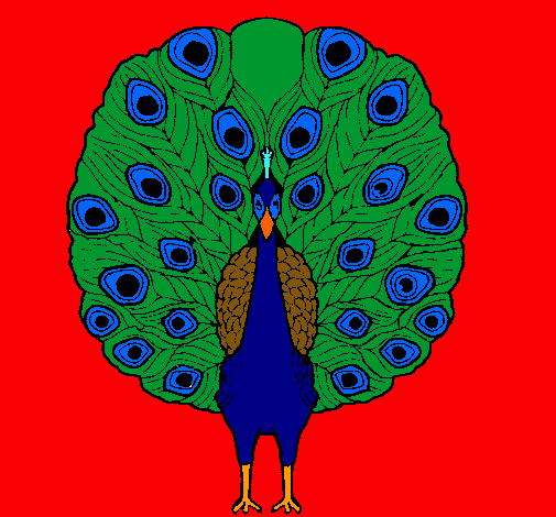 Pavo real