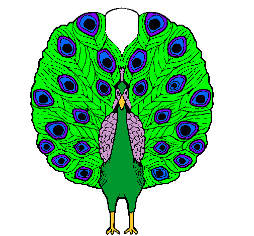 Pavo real