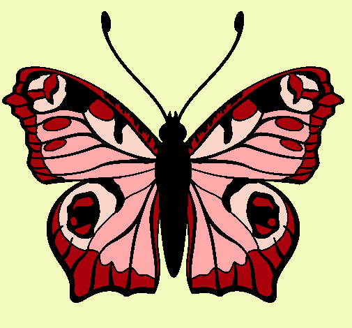 Mariposa 