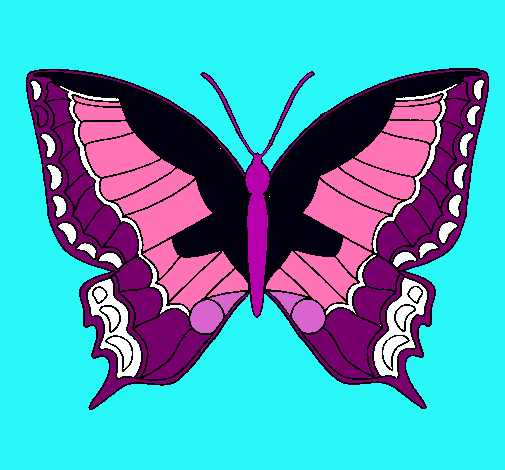 Dibujo Mariposa pintado por milinda