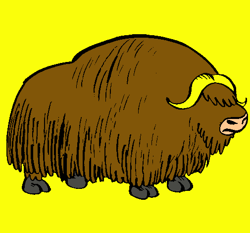 Bisonte