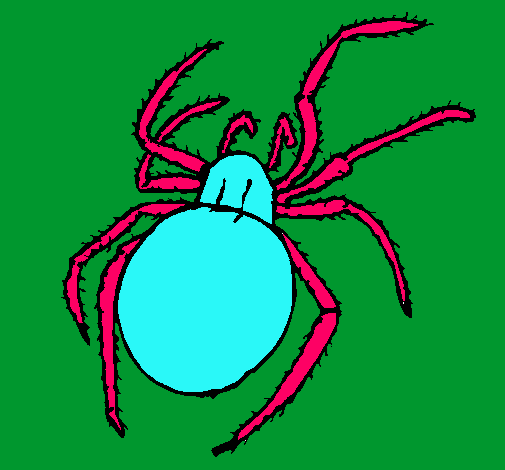 Araña venenosa