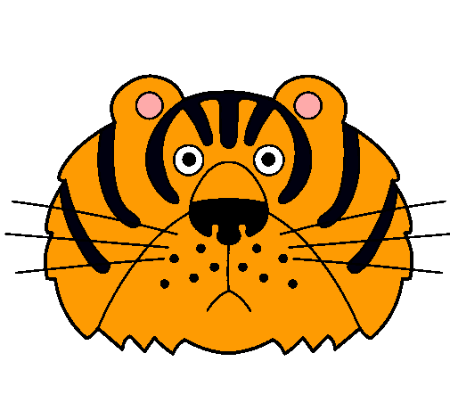 Tigre III