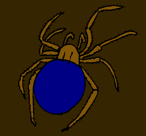 Araña venenosa