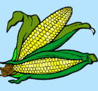 Dibujo Mazorca de maíz pintado por GATIATA