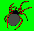 Dibujo Araña venenosa pintado por Daniiel