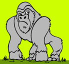 Dibujo Gorila pintado por eduardito