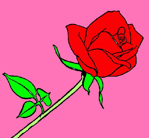 Dibujo Rosa pintado por rusabcn