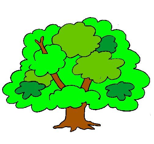 Árbol