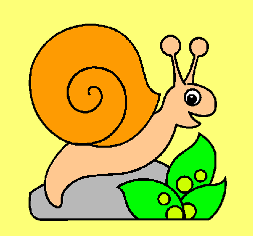 Caracol