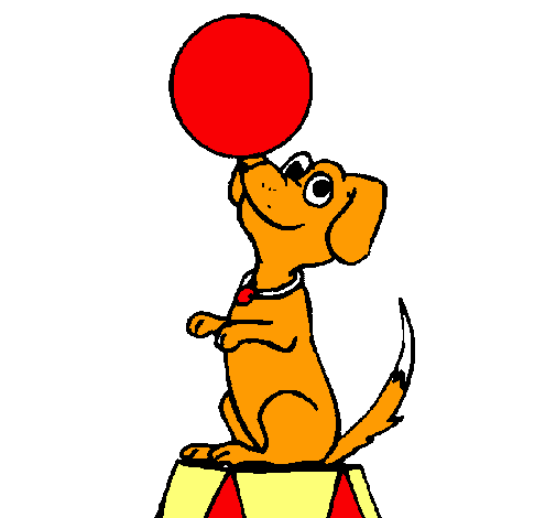 Perro de circo