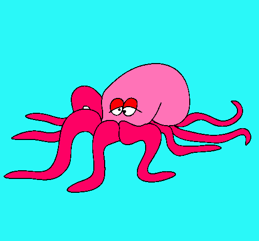 Pulpo