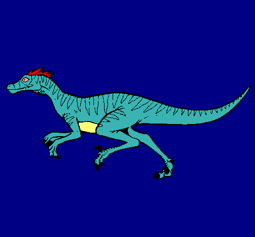 Velociraptor