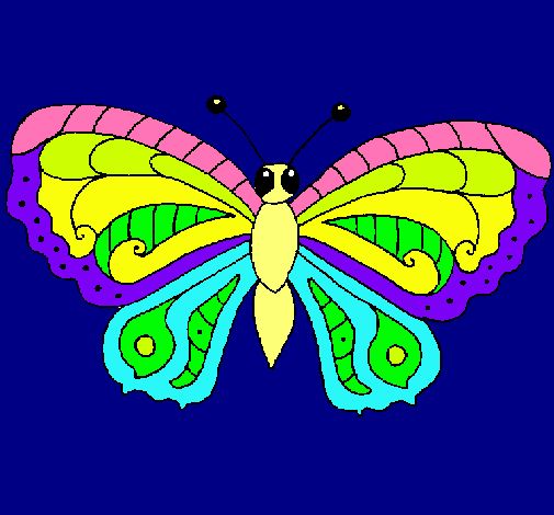 Mariposa