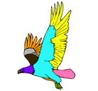 Dibujo Águila volando pintado por rallon