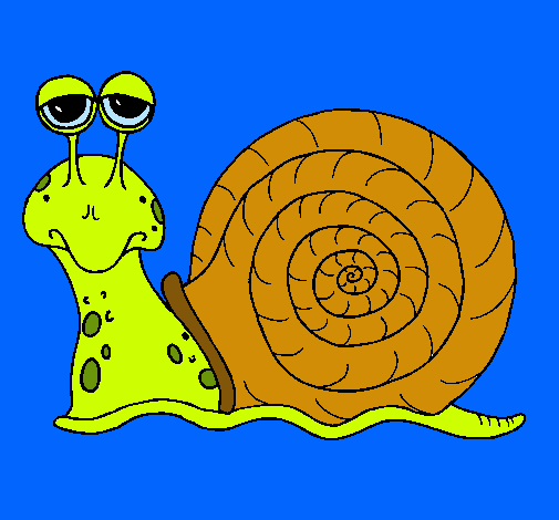 Caracol