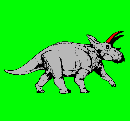 Triceratops