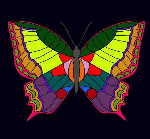 Mariposa