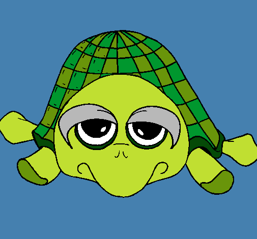 Tortuga