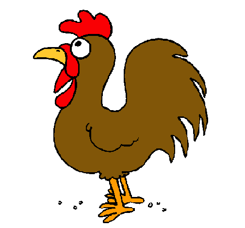 Gallo de granja