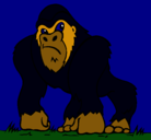 Dibujo Gorila pintado por alfo